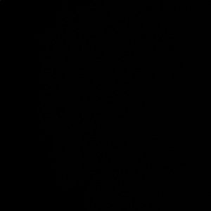 Meet your Posher, Hailey